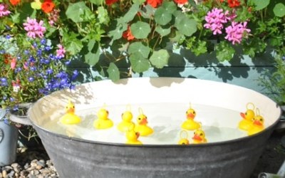 Who can resist trying to hook a duck? 