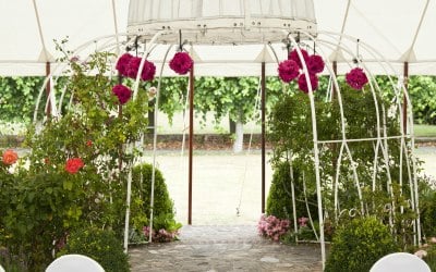 Weddings