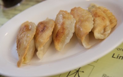 Fried Dumplings