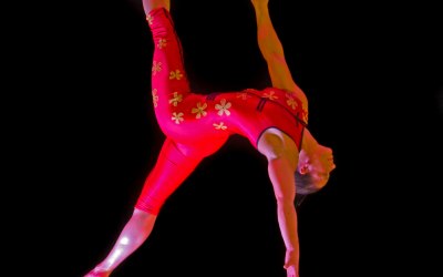 The gorgeous Lisa Whitmore on the trapeze