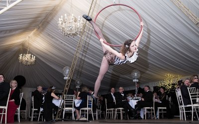 Aerial Hoop