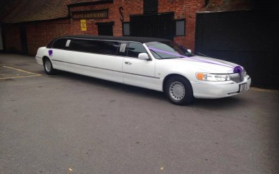 Limousine hampshire