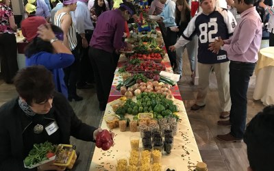 Salsa Challenge! 