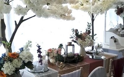Blossom trees 4ft and 8ft
