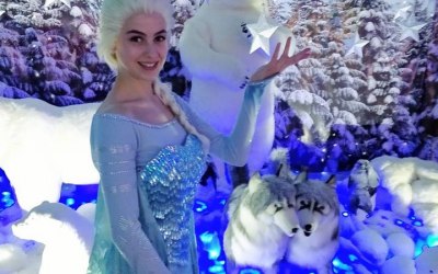 Snow Queen at a local garden centre Christmas grotto