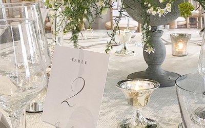 Calligraphy Suite