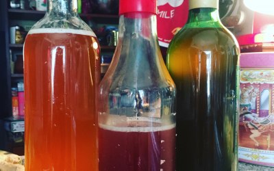 I run workshop on Fermented Food for groups up to 10
