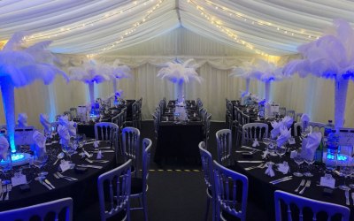 LED Pea Light Canopy