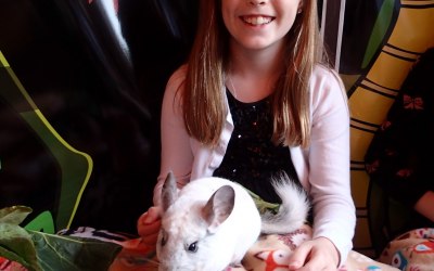 chinchilla handling