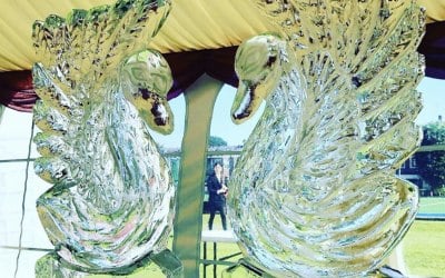 Twin Swans (names optional) - Orsett Hall, Essex