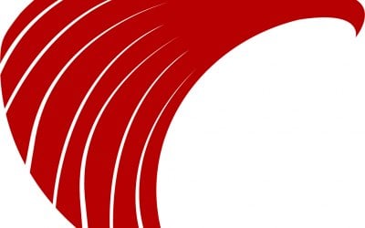Vigilant Security Services 