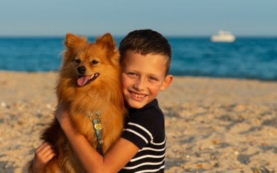 Pets / Kids