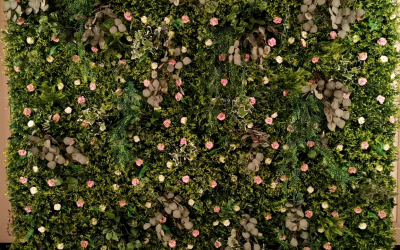 Garden of Eden