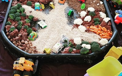 Edible Trays