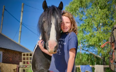 Equine