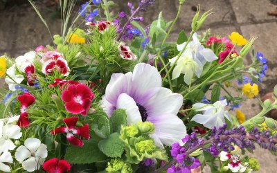 Early summer bouquet