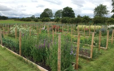 Flower farm