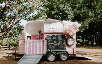 Pinkey horse box bar