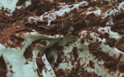 Peppermint Choc Chip Gelato 