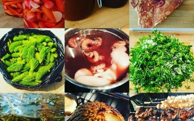 Some of our foraged and preserved ingredients.