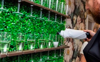 Champagne Hedge Hire