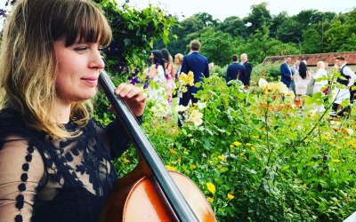 Solo Cellist