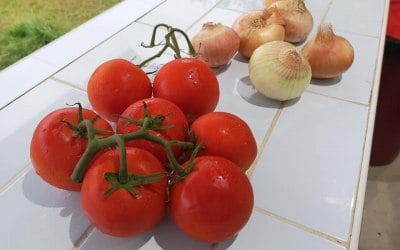 Fresh raw ingredients
