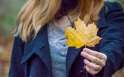Autumn colours. 