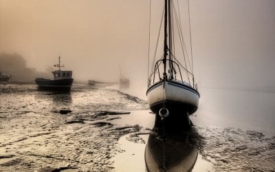Alnmouth Estuary