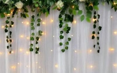 White Backdrop with Up-light, Diamond Rose in Ivory and Green Trailing Hydrangea
