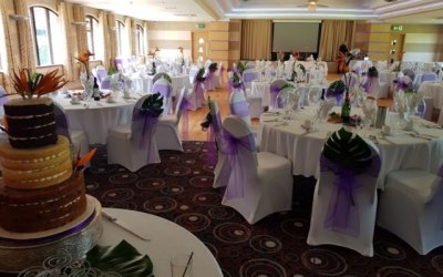 Bird of Paradise and Lilac settings 