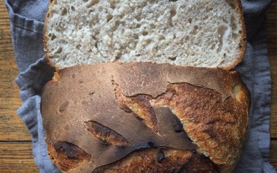 homemade sourdough