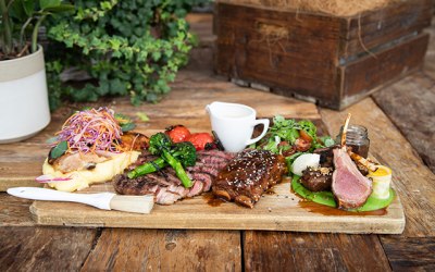 Carnivores Board