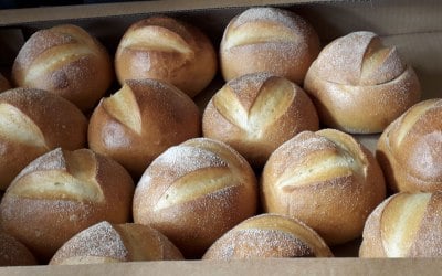 Sourdough serVe Bunny loaves
