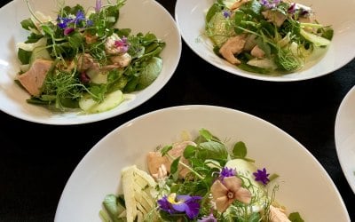 Event seasonal salads
