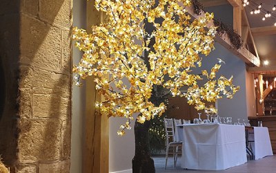Light-up Wish Tree