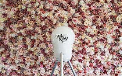 Flower wall