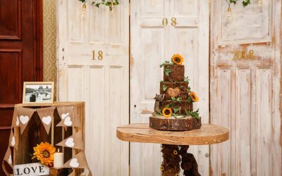 3 Door Backdrops