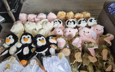 Bear parties 