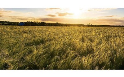 Lincolnshire countryside