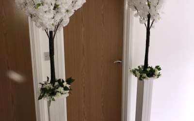 Beautiful Blossom trees