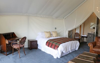 Safari Tent 