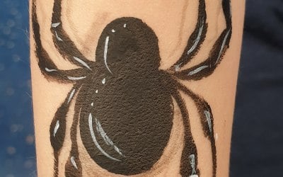 Spider 