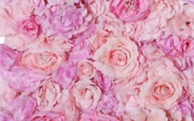 Perfect pink 