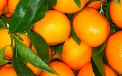 Office Fruit Delivery from Eatfruit