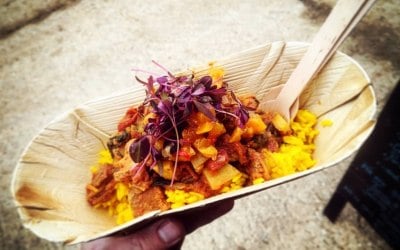 Durban Spiced Zebra Curry with Tumeric Rice