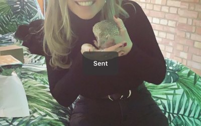 Chloe shearer 