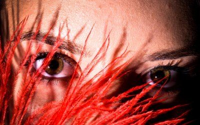 Warm brown eyes seen through a feather.