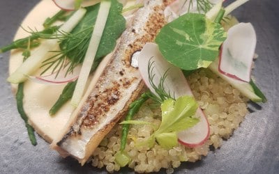 Torched mackerel, apple, horseradish, quinoa 