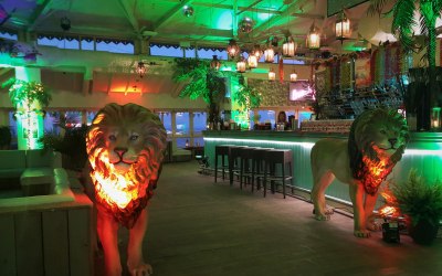 Planet gold decor wild animal decor Aruba Bournmouth